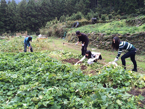2014年10月 鏡村市民農園にて