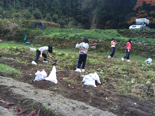 2014年11月 鏡村市民農園にて