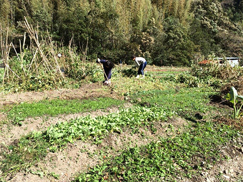 2015年10月 鏡村市民農園にて