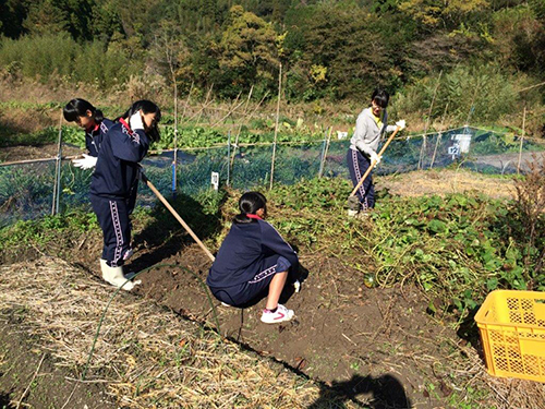 2016年11月　鏡村市民農園にて