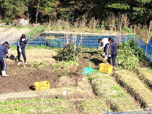 2016年11月 鏡村市民農園にて
